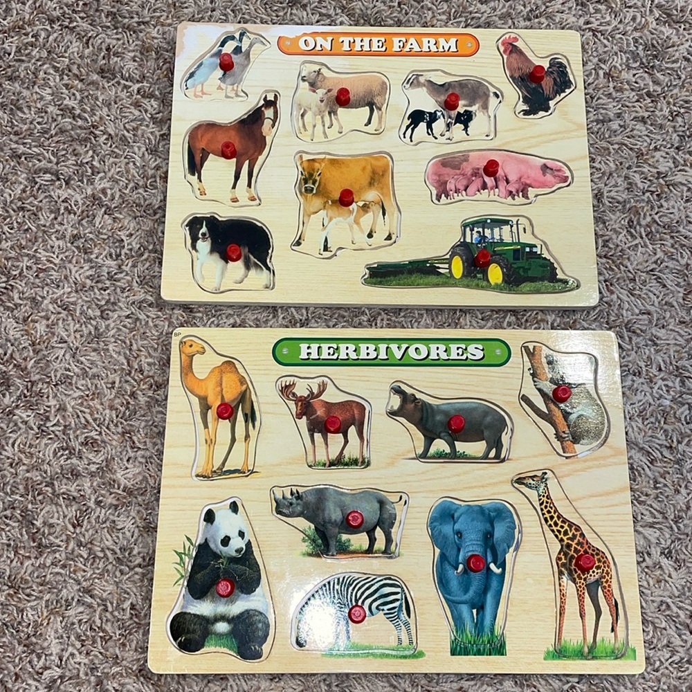 Baby wooden learning puzzles